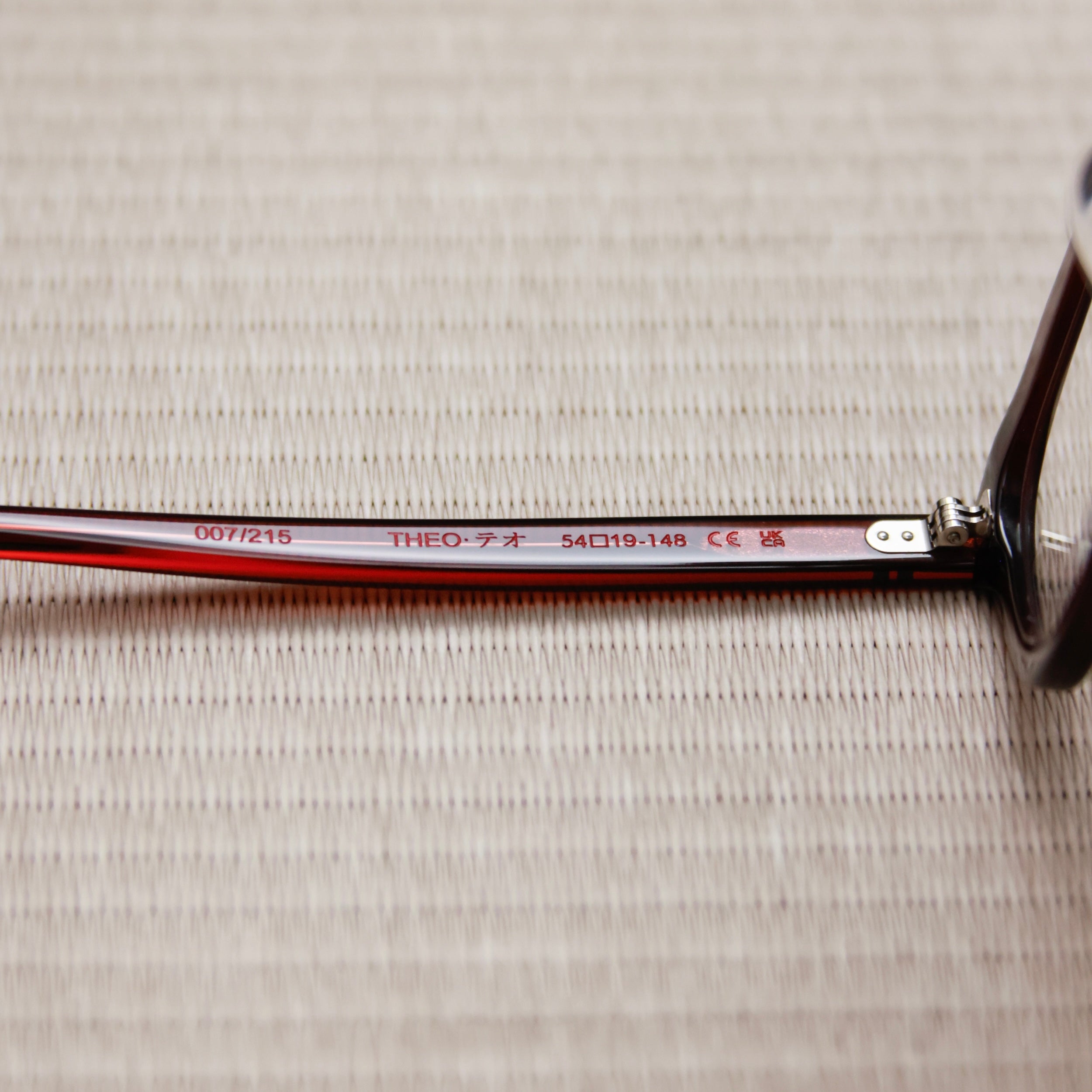 Model THEO Burgundy | Eyeglasses